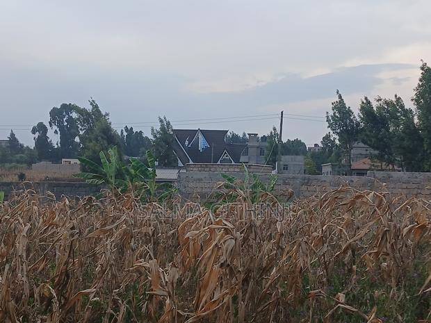 Prime 100 by 100ft Plot for Sale in Kikuyu,Gikambura