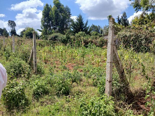 Prime 40by 80 Ft Plot for Sale in Kikuyu,Gikambura
