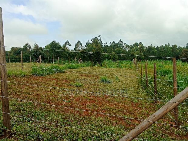 Residential 50 X 100ft Plot for Sale in Kamangu Ng'Amba Area