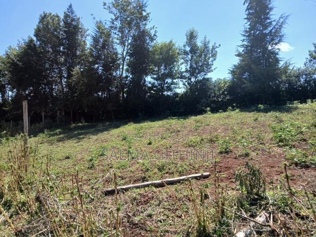 Residential Plots for Sale in Kikuyu,Ondiri