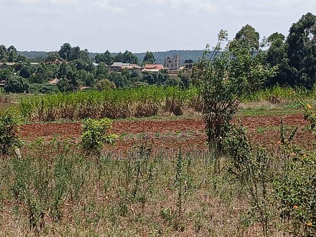 50 by 100ft Residential Plot for Sale Inkikuyu,Gikambura