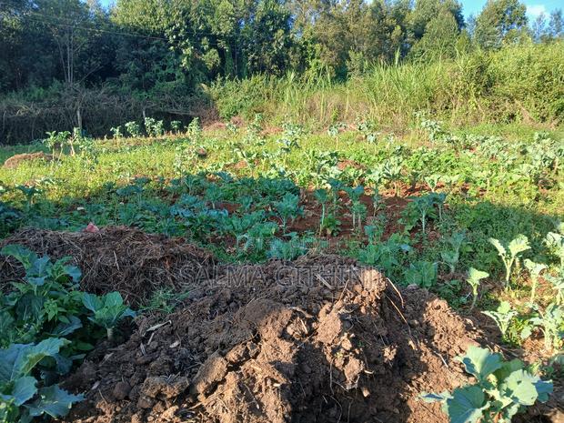 Affordable Residential Plot for Sale in Kikuyu,Migumo -Ini