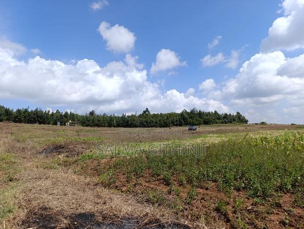 Prime 50 by 100ft Plots for Sale in Kikuyu,Ndiguini Area