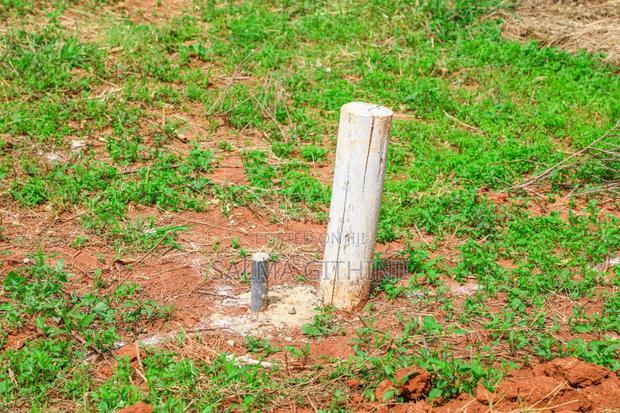 Prime Plots for Sale in a Gated Community in Kikuyu,Thigio