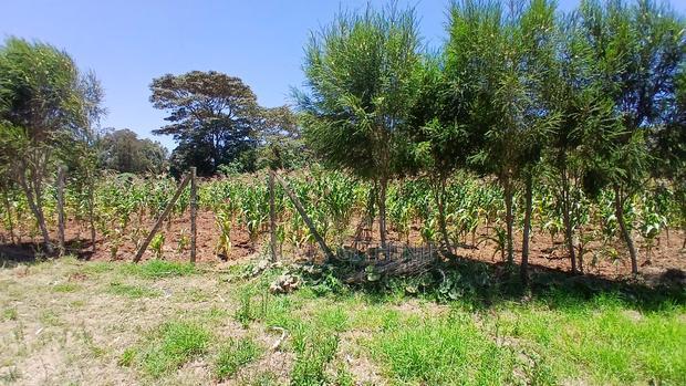 Prime by 100 by 100ft Plot for Sale in Kikuyu,Kamangu