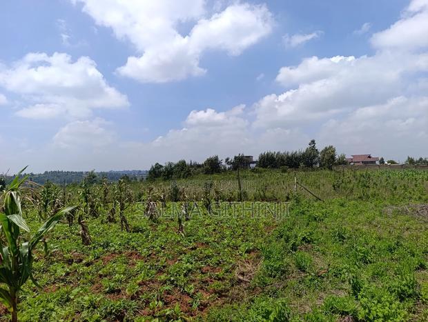 Prime Residential Plot for Sale - Kikuyu-Lusigetti