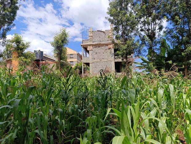 Prime Plot for Sale in Ruaka, Muchatha (With Income)
