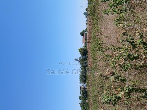 Prime50 by 100ft Plot for Sale in Kikuyu,Kamangu