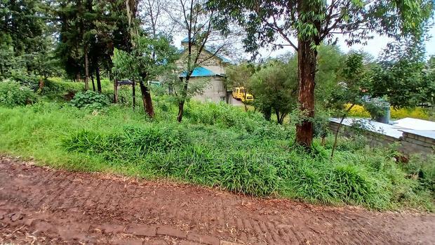 Prime40 by 60ft Plot for Sale in Kikuyu,Gitaru