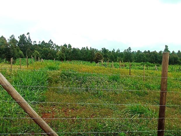 Residential 50 X 100ft Plot for Sale in Kamangu Ng'Amba Area