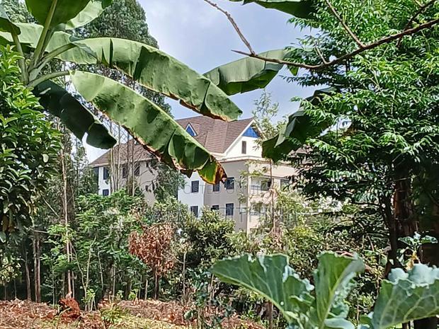 75 by 100ft Commercial Plot for Sale in Kikuyu,Gitaru