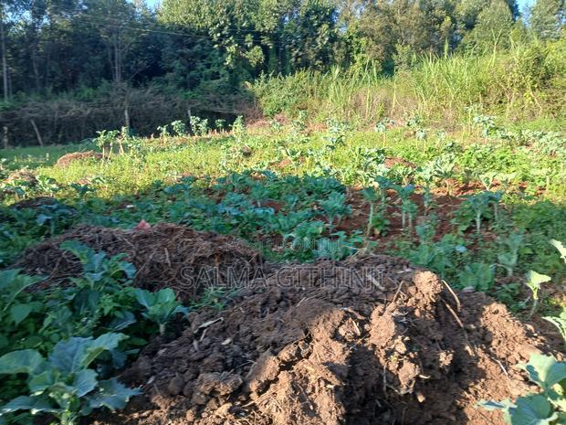 Affordable Residential Plot for Sale in Kikuyu,Migumo -Ini