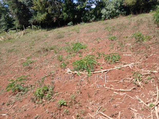 50 by 100ft Residential Plot for Sale in Kikuyu,Ondiri