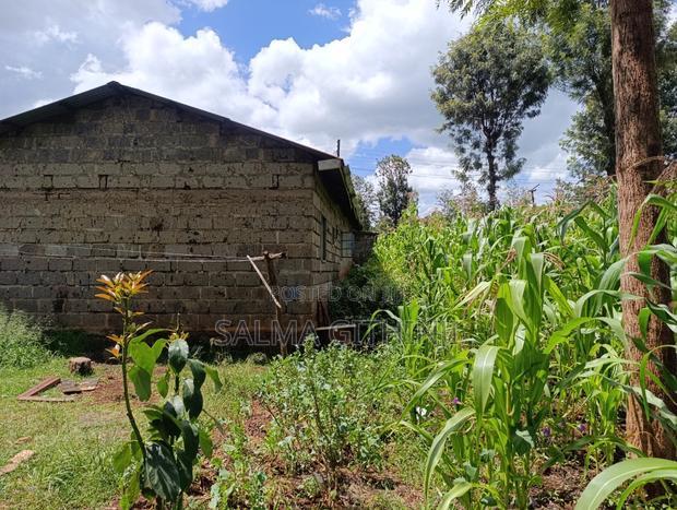 Prime Plot for Sale in Ruaka, Muchatha (With Income)