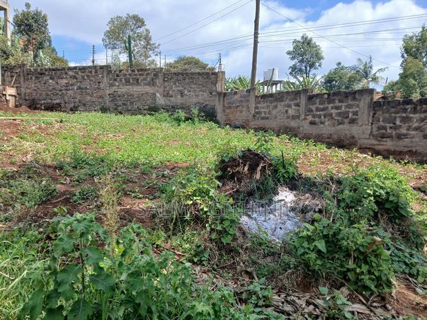 Commercial 50 by 100ft Plot for Sale in Kikuyu,Zambezi