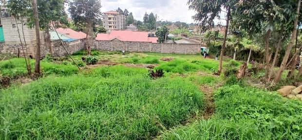100 by 100ft Commercial Plot for Sale in Kikuyu ,Zambezi