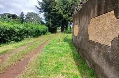 76 by 100ft Plot for Sale in Kikuyu, Regen