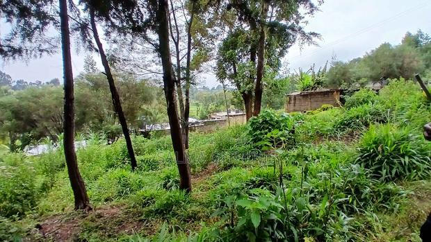 Prime40 by 60ft Plot for Sale in Kikuyu,Gitaru