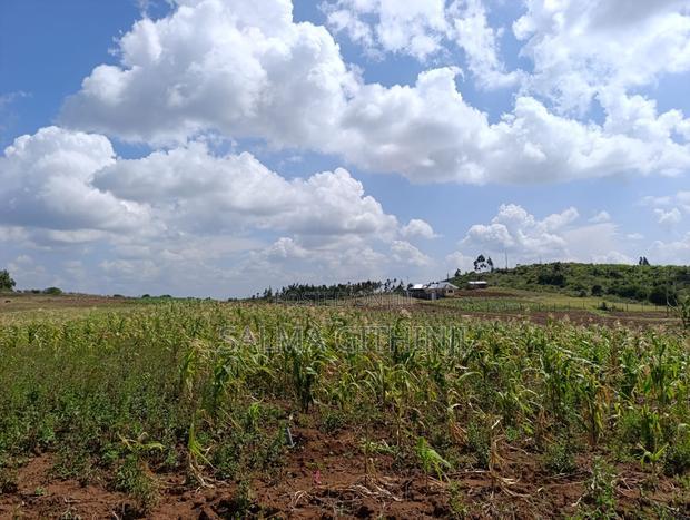 Prime 50 by 100ft Plots for Sale in Kikuyu,Ndiguini Area