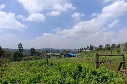 Prime Residential Plot for Sale - Kikuyu-Lusigetti