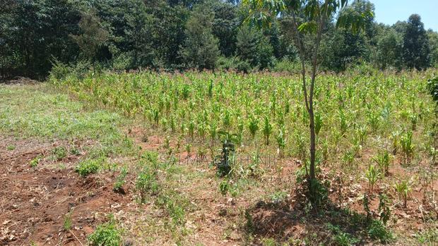 Residential 50 by 100ft Plot for Sale in Kikuyu,Ondiri