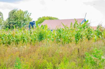 Prime Residential Plots for Sale in Kikuyu, Lusigetti