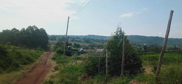 Affordable 100 by 100 Plot for Sale in Kikuyu, Ndiuni