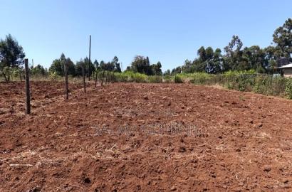 Plot for Sale in Kikuyu, Ng'Amba Area