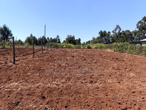 Plot for Sale in Kikuyu, Ng'Amba Area