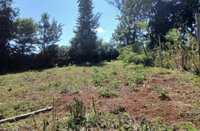 Residential Plots for Sale in Kikuyu,Ondiri
