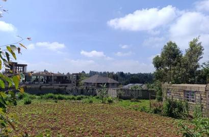 Prime Residential Plots in Gikambura, Kikuyu (Jambu Tv Rd)