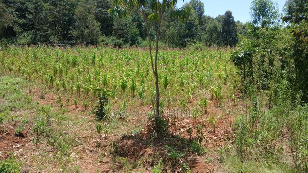 Residential 50 by 100ft Plot for Sale in Kikuyu,Ondiri