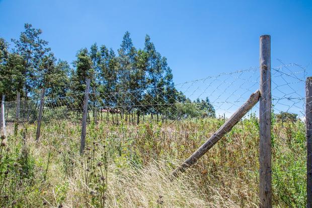Prime 50 by 100 Residential Plot for Sale in Kikuyu Kamangu
