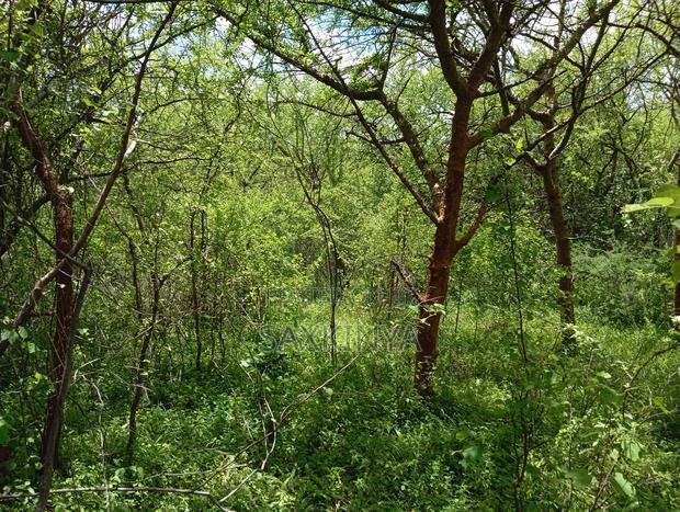 300 Acres for Sale