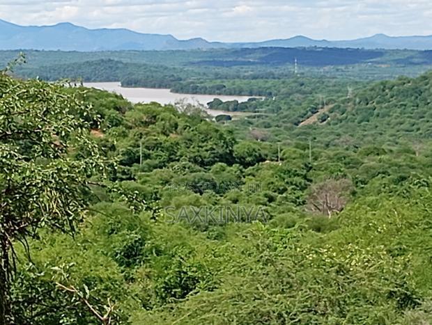 300 Acres for Sale