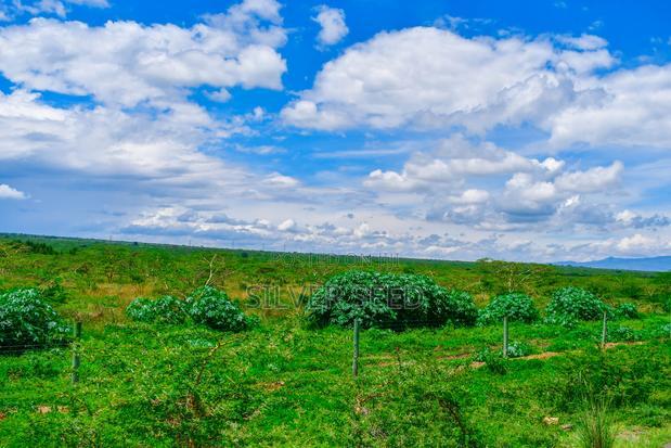 Success Gardens - Nakuru