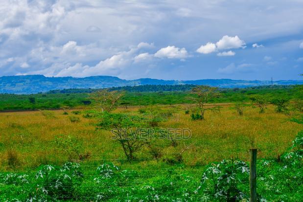 Success Gardens - Nakuru