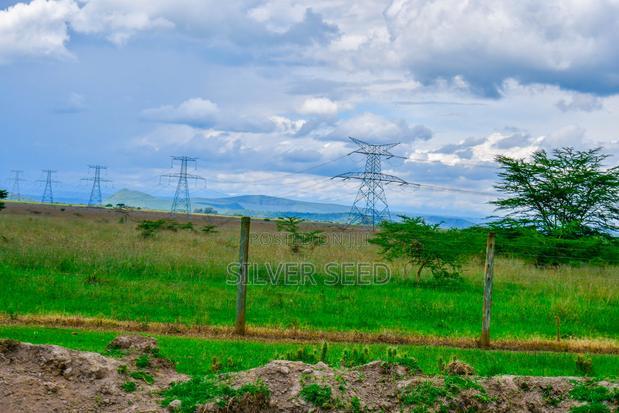 Success Gardens - Nakuru