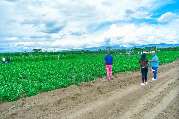 Success Gardens - Nakuru
