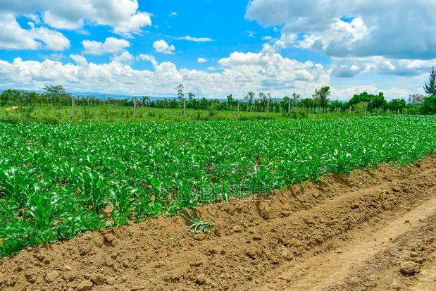 Success Gardens - Nakuru