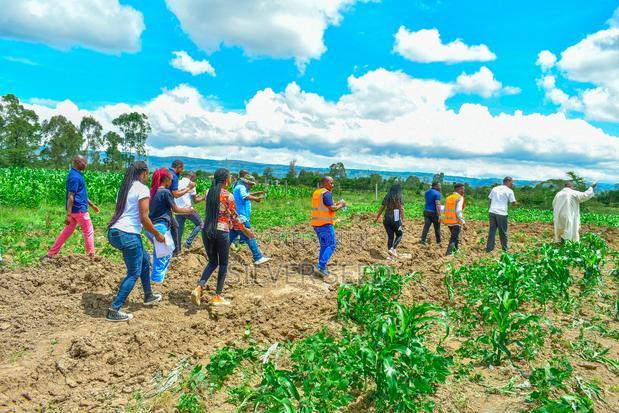 Success Gardens - Nakuru