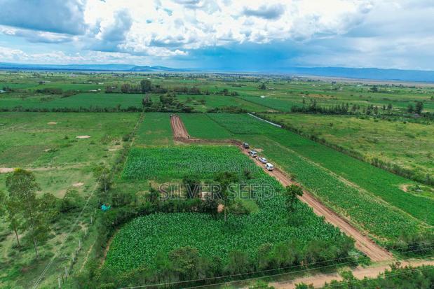Success Gardens - Nakuru