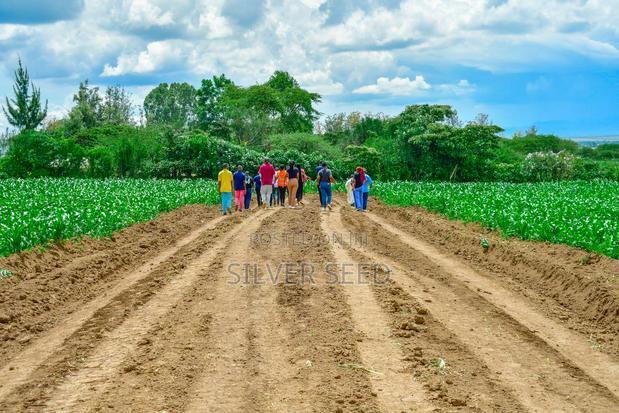 Success Gardens - Nakuru