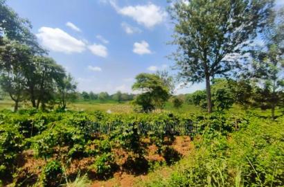 406 Acres Coffee Farm on Sale at Kiambu County