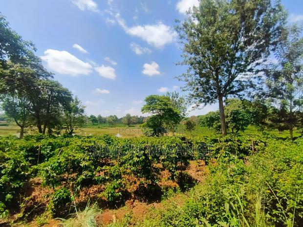406 Acres Coffee Farm on Sale at Kiambu County