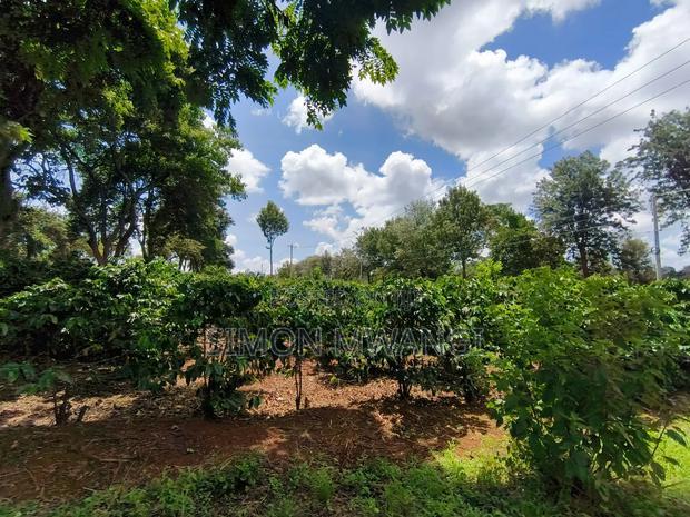 546 Acres Coffee Farm on Sale at Ruiru Kiambu County at 20M