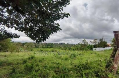 1/4 Acre Residential Plot for Sale