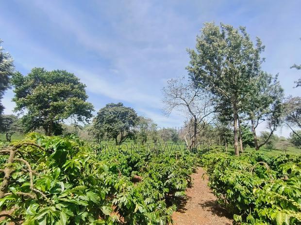 400 Acres of Coffee Farm for Sale - Kiambu, Near Tatu City