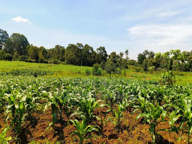 40*80 Residential Plot on Sale at Kiambu Anmer