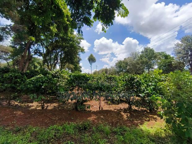 546 Acres Coffee Farm on Sale at Ruiru Kiambu County at 20M